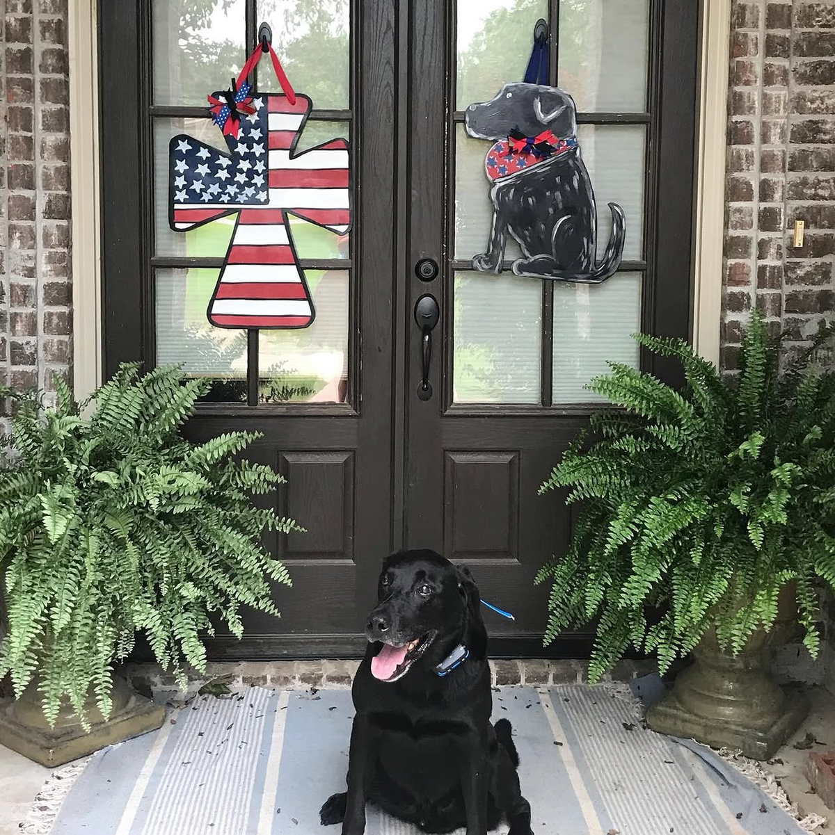 Black Lab